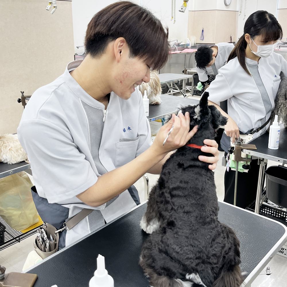 １年生のトリミング実習！